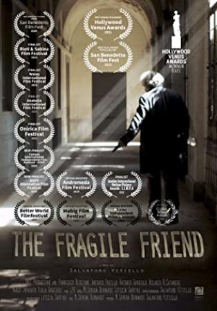 The Fragile Friend 2018 ITALIAN 1080p WEBRip x264-VXT