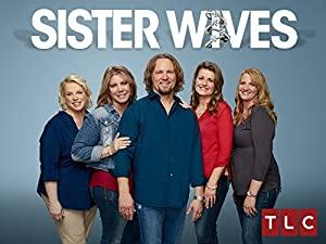 Sister Wives S08E07 First a Verdict Then a Lawyer 480p x264-mSD[eztv]