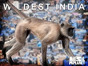 Wildest India Series 1 3of5 The Himalayas Surviving the Summits 1080p HDTV x264 AAC