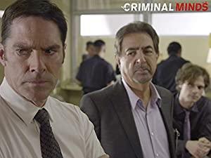 Criminal Minds S10E22 WEB-DL x264-FUM[ettv]