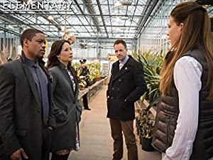 Elementary S03E23 HDTV XviD-FUM[ettv]