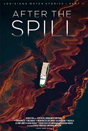 After the Spill 2015 1080p NF WEBRip DD 5.1 x264-SiGMA