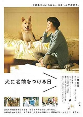 【首发于高清影视之家 】为你取名的那一天[中文字幕] Dogs Without Names 2015 HKG BluRay 1080p TrueHD 5 1 x265 10bit-Xiaomi