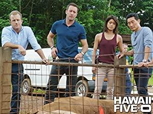 Hawaii Five-0 2010 S06E09 HDTV x264-LOL[rarbg]