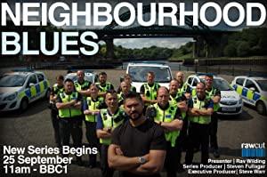 Neighbourhood Blues S05E08 HDTV XviD-AFG