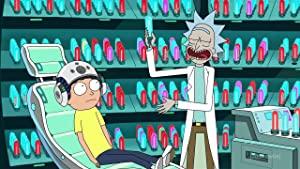 Rick and Morty S03E08 Mortys Mind Blowers 1080p WEBRip 6CH x265 HEVC-PSA