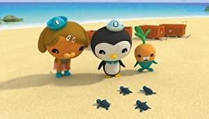 Octonauts S04E04 The Baby Sea Turtles (BBC WEB-DL 720p)