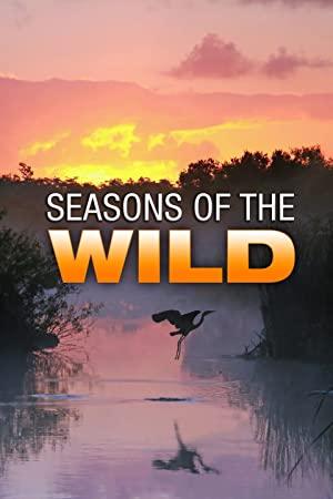 Seasons of the Wild S01E02 The Season of Flood 720p WEB h264-CAFFEiNE[TGx]