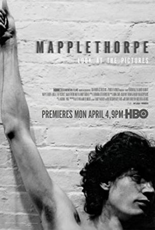 Mapplethorpe Look at the Pictures 2016 1080p HMAX WEBRip DD 5.1 x264-tijuco