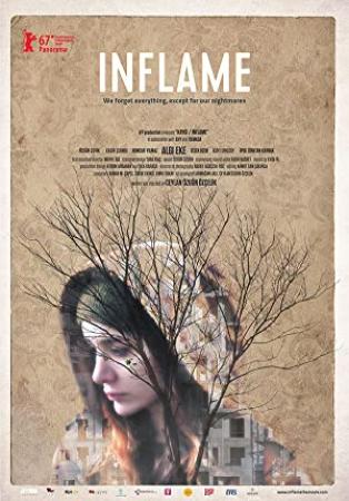 Inflame 2017 TURKISH 1080p WEBRip AAC2.0 x264-HUS