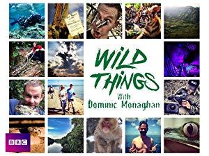 Wild Things with Dominic Monaghan S03E10 Brazils Brilliant Pantanal 720p WEBRip x264-CAFFEiNE[eztv]