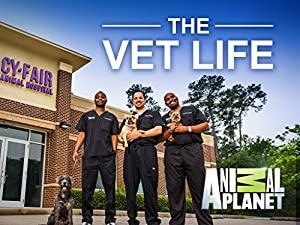 The Vet Life - 1x03 - No Goats, No Glory 720p WEBRIP [TANKTV]