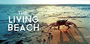 The Living Beach Series 1 1of6 Florida 1080p HDTV x264 AAC