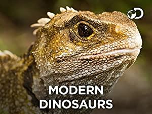 Modern Dinosaurs S01 2160p WEBRip AAC2.0 x264-CBFM[rartv]
