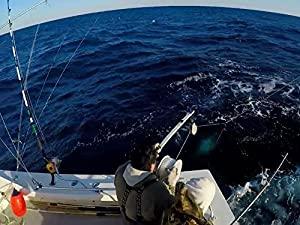 Wicked Tuna Outer Banks S03E09 Striking Distance HDTV x264-JIVE