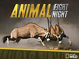 Animal Fight Night S02E04 Coyotes Crabs Eagles 720p HEV