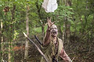 The Walking Dead S08E06 HDTV x264-SVA