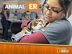 Animal ER S01E06 Toy Trauma 720p WEBRip x264-CAFFEiNE[eztv]