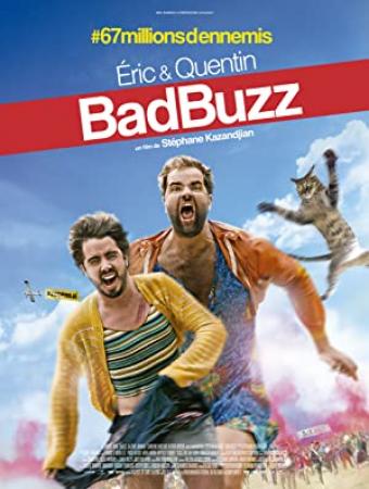 Bad Buzz 2017 FRENCH HDTS XviD-ACOOL