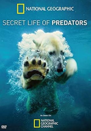 Secret Life of Predators S01E02 Stealth 720p HDTV x264-DHD