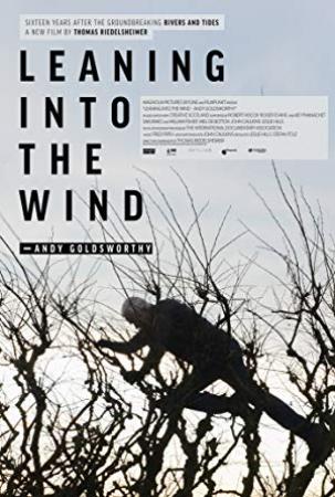 Leaning Into The Wind-Andy Goldsworthy 2017 WEBRip XviD MP3-XVID