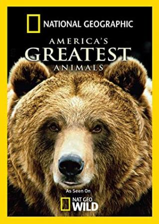 Americas Greatest Animals (2012) [1080p] [WEBRip] [5.1] [YTS]