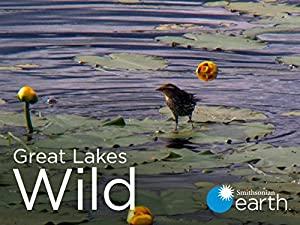 Great Lakes Wild S01E05 Helping Out Endangered Species 480p x264-mSD[eztv]