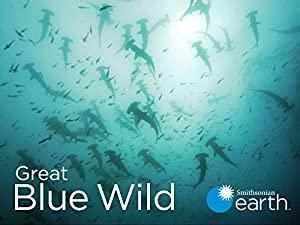 Great Blue Wild Series 1 Part 12 Indonesia Life in the Muck 1080p HDTV x264 AAC