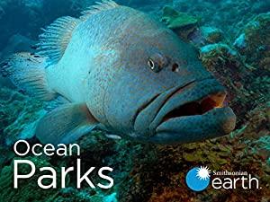 Ocean Parks Series 1 3of5 Monterey Bay Marine Sanctuary 1080p HDTV x264 AAC