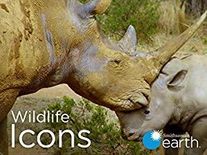 Wildlife Icons Series 1 Part 8 Life in the Leftovers 1080p HDTV x264 AAC