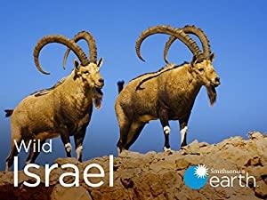 Wild Israel S01E02 Life Around the Dead Sea 480p x264-mS