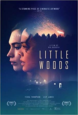 Little Woods 2018 HDRip XViD-ETRG