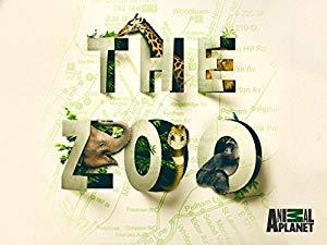 The Zoo US S05E04 Cubs in Queens XviD-AFG