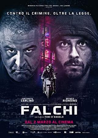 Falchi 2017 iTALiAN DTS 1080p BluRay x264-BLUWORLD