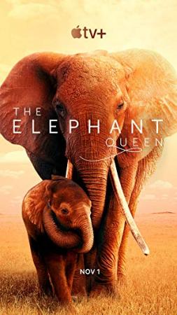 The Elephant Queen 2019 HDR 2160p WEB h265-NiXON