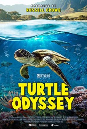 Turtle Odyssey 2018 2160p BluRay REMUX HEVC DTS-X 7 1-FGT