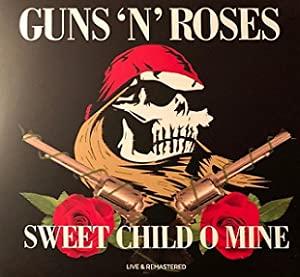 Guns N' Roses - 1988-02-02 - The Ritz, New York, USA [Echobat]