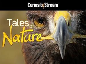 Tales Of Nature Series 1 01of10 Forests In The Mist 720p HDTV x264 AAC mp4[eztv]