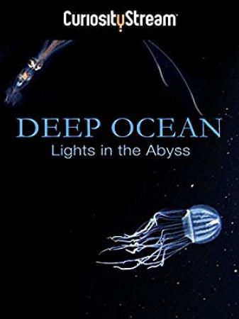 Deep Ocean Lights In The Abyss 2016 WEBRip x264-ION10