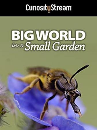 Big World In A Small Garden (2016) [1080p] [WEBRip] [YTS]