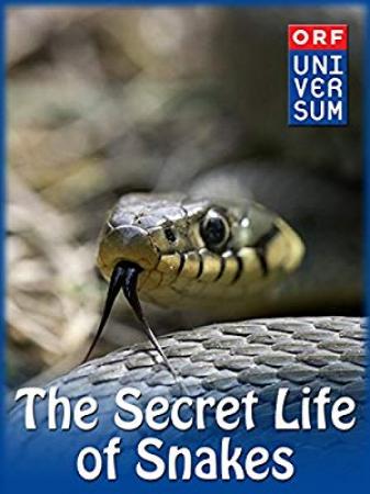 The Secret Life of Snakes 2016 1080p WEBRip x264-RARBG