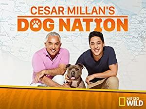 Cesar Millans Dog Nation S01E08 Call of Duty WEB x264-JIVE - [SRIGGA]