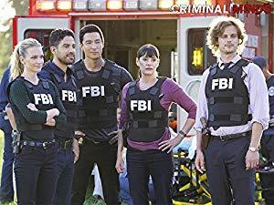Criminal Minds S13E06 REAL HDTV x264