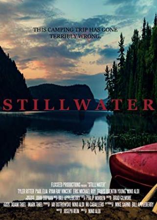 Stillwater 2018 HDRip XviD AC3-EVO[SN]