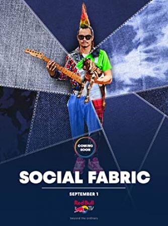 Social Fabric S01E06 480p x264-mSD