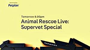 Animal Rescue Live Supervet Special S02E02 720p HDTV x264-PLUT