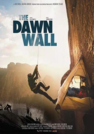 The Dawn Wall 2017 BDRip x264-CADAVER