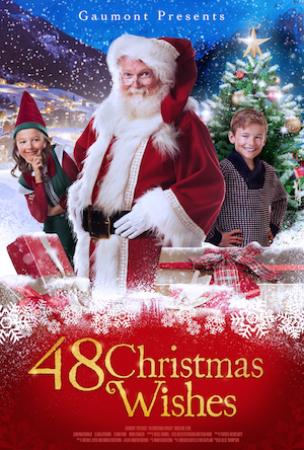 48 Christmas Wishes 2017 1080p NF WEBRip DDP5.1 x264-monkee