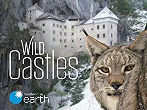 Wild Castles Series 1 2of5 Carcassonne The Realm of the Owl 1080p HDTV x264 AAC