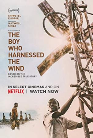 The Boy Who Harnessed the Wind 2019 Netflix 1080p WEB-DL x264 29xSub DD 5.1